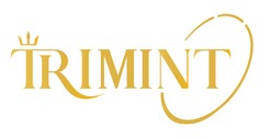 project.trimint.in